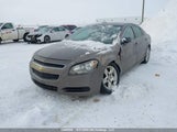 Chevrolet Malibu Ls 1G1ZB5EU7BF297271 снимка