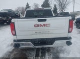 GMC Sierra 1GTPUBEK3PZ308746 снимка