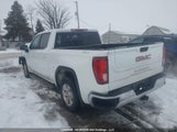 GMC Sierra 1GTPUBEK3PZ308746 снимка