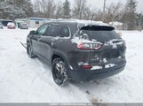 Jeep Cherokee North 1C4PJMCB7KD211045 снимка
