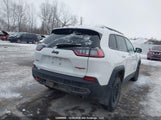 Jeep Cherokee Trailhawk 1C4PJMBX9LD544104 снимка