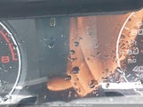 Audi A4 2.0T Premium WAUHFCFL9AN008202 снимка