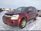 Chevrolet Equinox Ls 2CNDL23F196251081 снимка