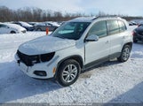Volkswagen Tiguan WVGJV3AX2EW600232 снимка