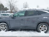 Hyundai Tucson KM8JCCDE8RU338492 снимка