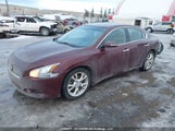 Nissan Maxima 1N4AA5APXDC834779 снимка