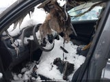 Toyota Rav4 Le 2T3ZFREV4GW261989 снимка