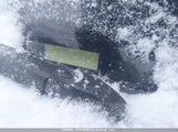 Ram  Big Horn 3C6UR5DL5KG514019 снимка