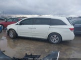 Honda Odyssey Ex-L 5FNRL5H62EB502652 снимка