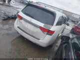 Honda Odyssey Ex-L 5FNRL5H62EB502652 снимка