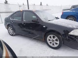 Volkswagen City Jetta 3VWTK49M59M620743 снимка