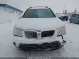 Pontiac Torrent 2CKDL33F096222058 снимка