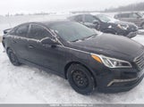 Hyundai Sonata 5NPE24AF6FH008156 снимка