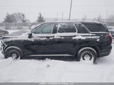 Hyundai Palisade KM8R2DHE0MU278223 снимка