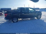Ford F-150 Xlt 1FTFW1E58MKD71114 снимка