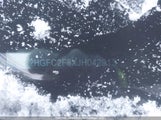 Honda Civic Ex 2HGFC2F8XJH042913 снимка