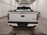 Ford F-150 Tremor 1FTEW1E86PFD00674 снимка