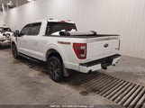 Ford F-150 Tremor 1FTEW1E86PFD00674 снимка
