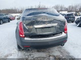 Cadillac Srx Performance Collection 3GYFNBEY9AS637169 снимка