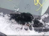 Toyota Corolla Le 5YFB4MDE1RP206036 снимка
