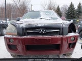 Hyundai Tucson KM8JM12B89U957703 снимка