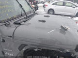 Jeep Wrangler Unlimited Sahara 1C4HJXEN6KW607243 снимка