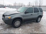 Ford Escape Xlt 1FMYU03196KD00902 снимка