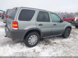 Ford Escape Xlt 1FMYU03196KD00902 снимка