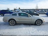Ford Mustang 1ZVHT80NX65243179 снимка