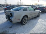 Ford Mustang 1ZVHT80NX65243179 снимка