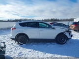 Toyota Rav4 Xle 2T3WFREV7GW236202 снимка