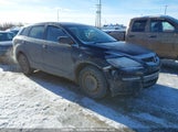 Mazda Cx-9 JM3TB38A190168854 снимка