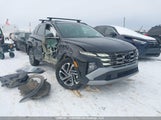 Hyundai Tucson KM8JCDD15SU348857 снимка