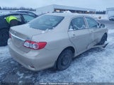 Toyota Corolla S/Le 2T1BU4EE8BC750795 снимка