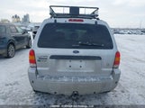 Ford Escape Limited 1FMCU94185KA30167 снимка