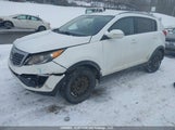 Kia Sportage KNDPB3A29D7507647 снимка