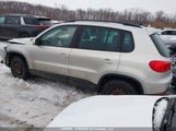 Volkswagen Tiguan S/Se/Sel WVGBV7AX8CW603984 fotografie