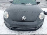 Volkswagen Beetle 3VWV67AT1CM629562 снимка