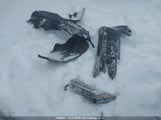 Toyota Rav4 Xle 2T3R1RFV2SC500477 снимка