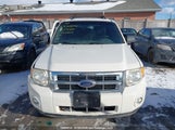 Ford Escape Xlt 1FMCU03G99KD02863 снимка