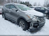 Hyundai Santa Fe 5XYZUDLB9GG315268 снимка