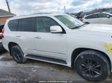 Lexus Gx 460 Ultra Premium JTJJM7FXXC5038555 fotografie