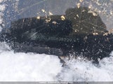 Mazda Cx-5 JM3KFBCLXS0628229 снимка