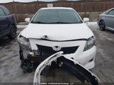 Toyota Corolla 2T1BU4EE1AC291916 fotografie