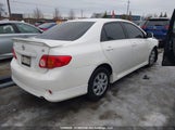 Toyota Corolla 2T1BU4EE1AC291916 снимка