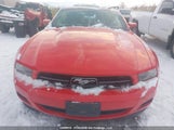 Ford Mustang 1ZVBP8EM7B5163794 снимка