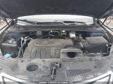 Acura Rdx Technology 5J8TB4H53GL802843 fotografie