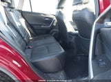 Toyota Rav4 Limited 2T3D1RFV6KW025229 снимка