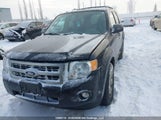 Ford Escape Xlt 1FMCU0D7XCKC72391 fotografie