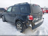 Ford Escape Xlt 1FMCU0D7XCKC72391 fotografie